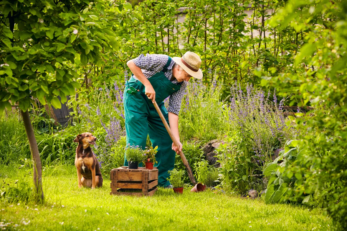 Gardening hobby top tips